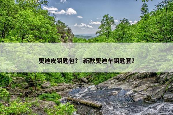 奥迪皮钥匙包？ 新款奥迪车钥匙套？