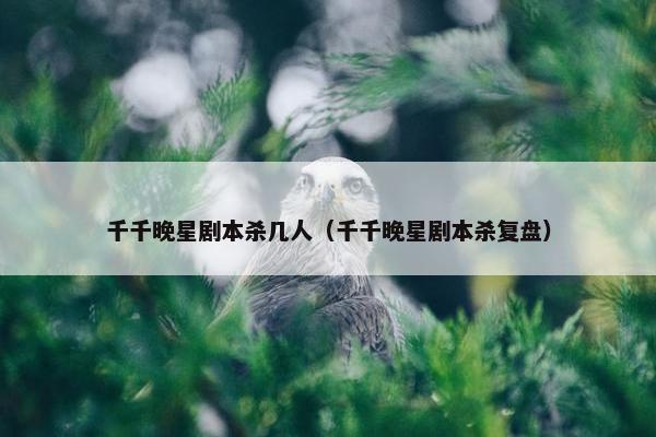 千千晚星剧本杀几人（千千晚星剧本杀复盘）