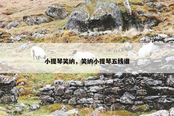 小提琴笑纳，笑纳小提琴五线谱