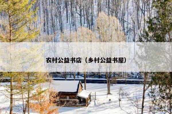 农村公益书店（乡村公益书屋）