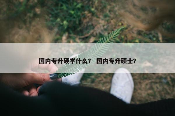 国内专升硕学什么？ 国内专升硕士？