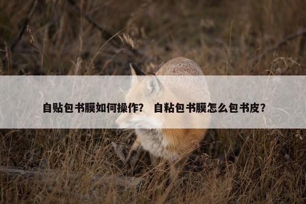 自贴包书膜如何操作？ 自粘包书膜怎么包书皮？