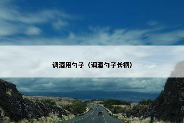 调酒用勺子（调酒勺子长柄）
