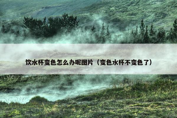 饮水杯变色怎么办呢图片（变色水杯不变色了）