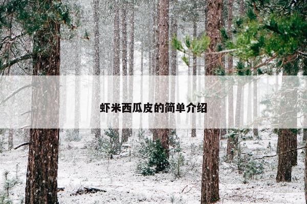 虾米西瓜皮的简单介绍