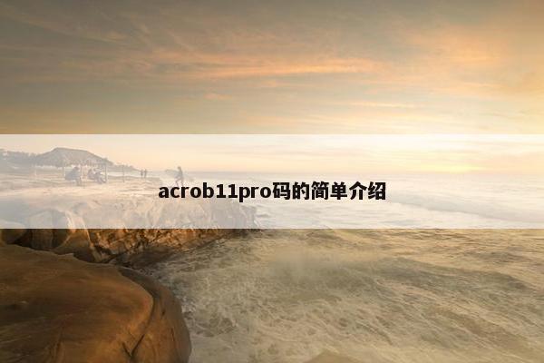 acrob11pro码的简单介绍