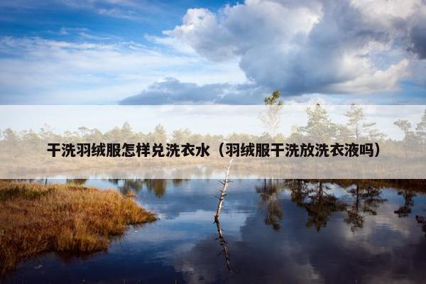 干洗羽绒服怎样兑洗衣水（羽绒服干洗放洗衣液吗）