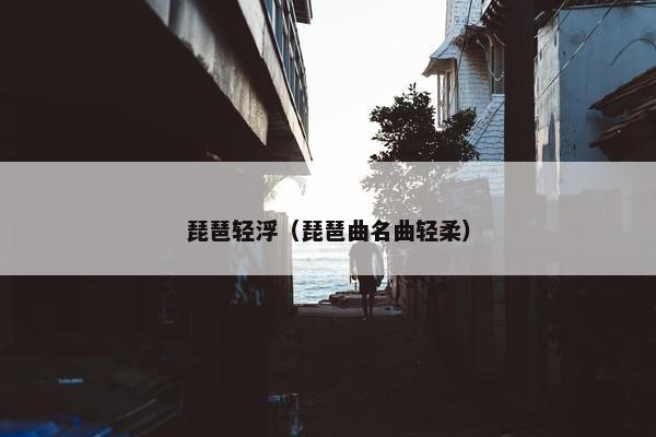 琵琶轻浮（琵琶曲名曲轻柔）