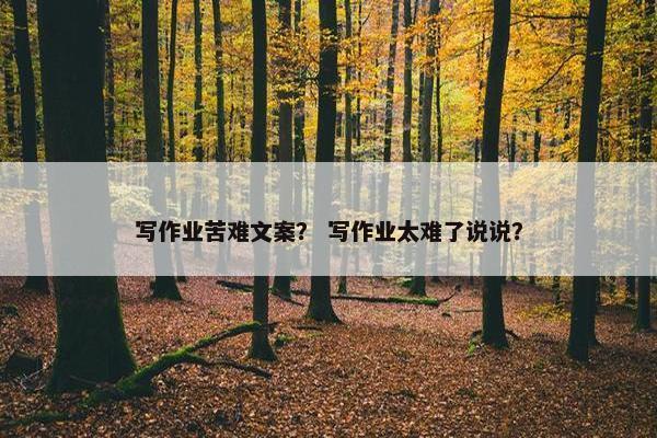 写作业苦难文案？ 写作业太难了说说？