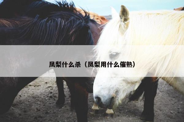 凤梨什么杀（凤梨用什么催熟）
