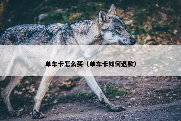 单车卡怎么买（单车卡如何退款）