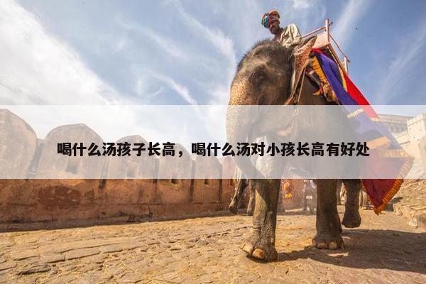 喝什么汤孩子长高，喝什么汤对小孩长高有好处