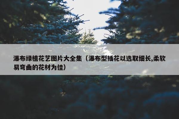 瀑布绿植花艺图片大全集（瀑布型插花以选取细长,柔软易弯曲的花材为佳）