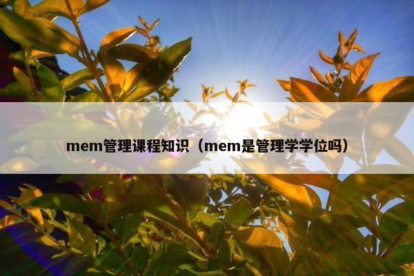 mem管理课程知识（mem是管理学学位吗）