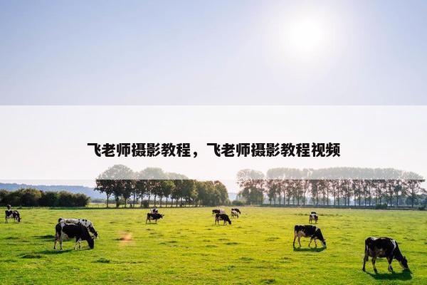飞老师摄影教程，飞老师摄影教程视频
