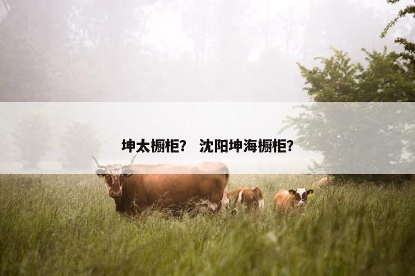 坤太橱柜？ 沈阳坤海橱柜？
