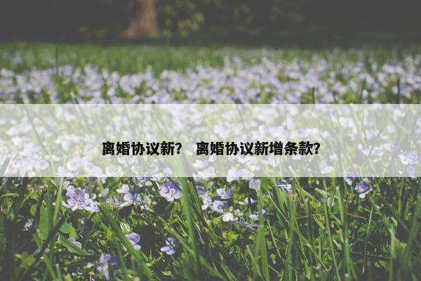 离婚协议新？ 离婚协议新增条款？