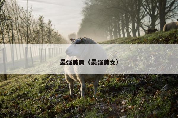 最强美黑（最强美女）