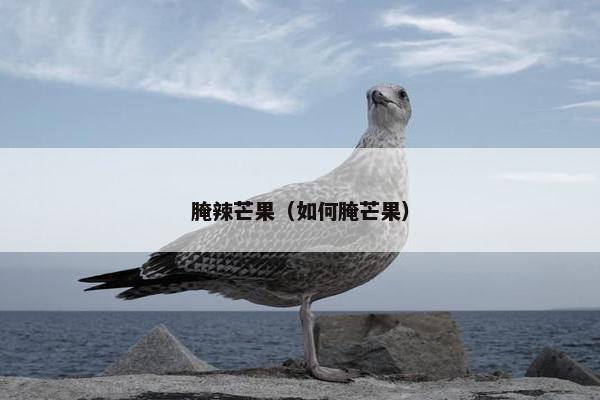 腌辣芒果（如何腌芒果）