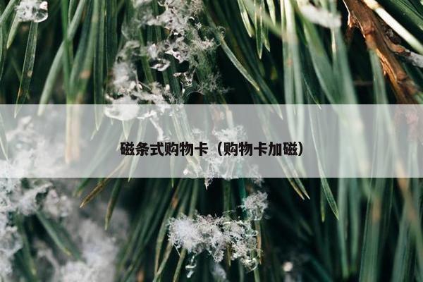 磁条式购物卡（购物卡加磁）