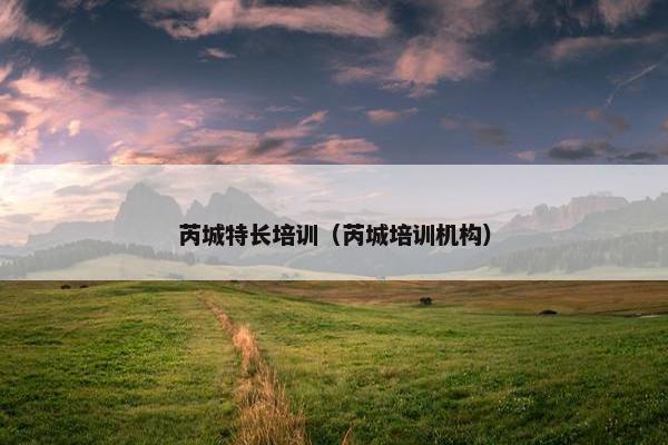 芮城特长培训（芮城培训机构）