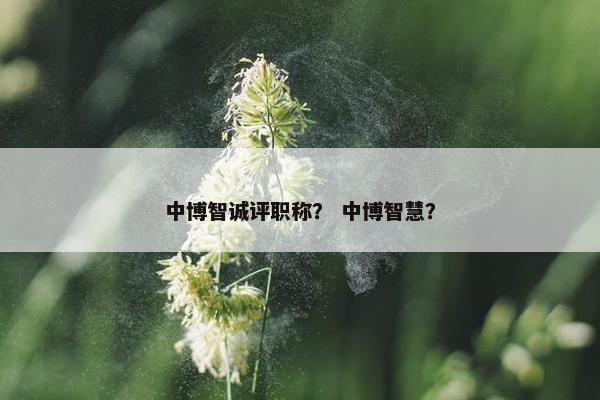 中博智诚评职称？ 中博智慧？