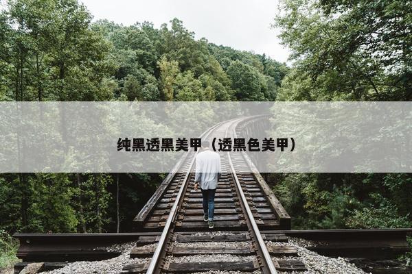 纯黑透黑美甲（透黑色美甲）