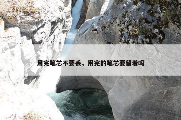 用完笔芯不要丢，用完的笔芯要留着吗