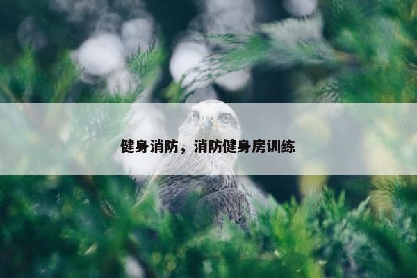 健身消防，消防健身房训练