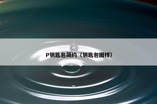 P钥匙包简约（钥匙包图样）