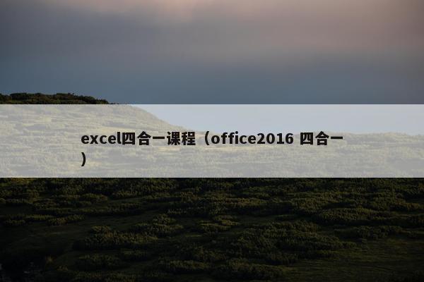 excel四合一课程（office2016 四合一）