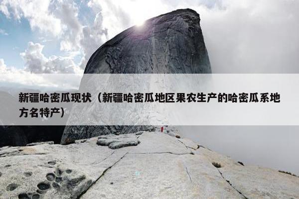 新疆哈密瓜现状（新疆哈密瓜地区果农生产的哈密瓜系地方名特产）
