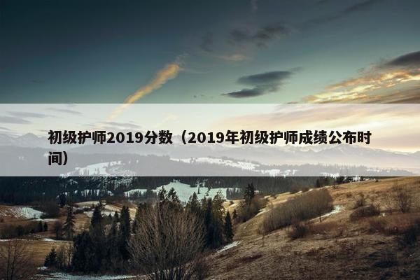 初级护师2019分数（2019年初级护师成绩公布时间）