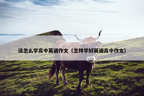 该怎么学高中英语作文（怎样学好英语高中作文）