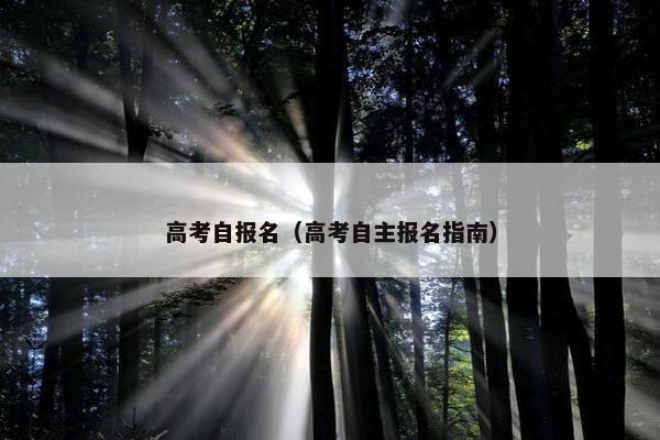 高考自报名（高考自主报名指南）