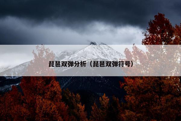 琵琶双弹分析（琵琶双弹符号）
