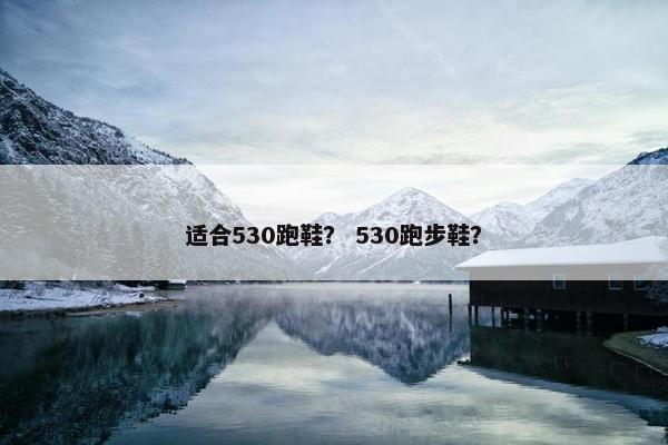 适合530跑鞋？ 530跑步鞋？