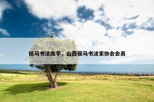 侯马书法练字，山西侯马书法家协会会员