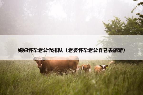 媳妇怀孕老公代排队（老婆怀孕老公自己去旅游）