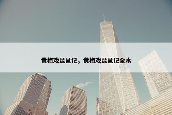 黄梅戏琵琶记，黄梅戏琵琶记全本