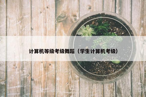 计算机等级考级舞蹈（学生计算机考级）