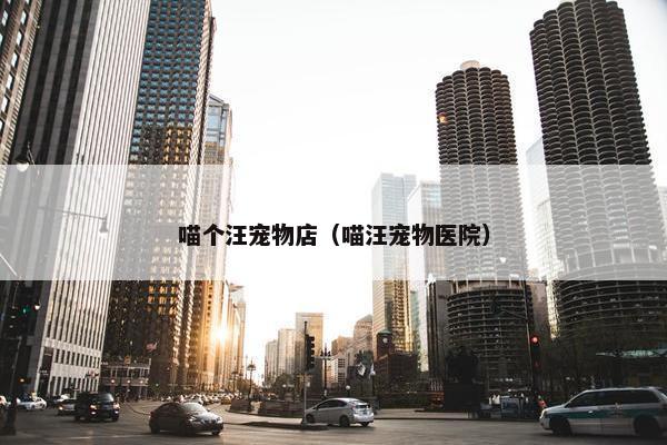 喵个汪宠物店（喵汪宠物医院）