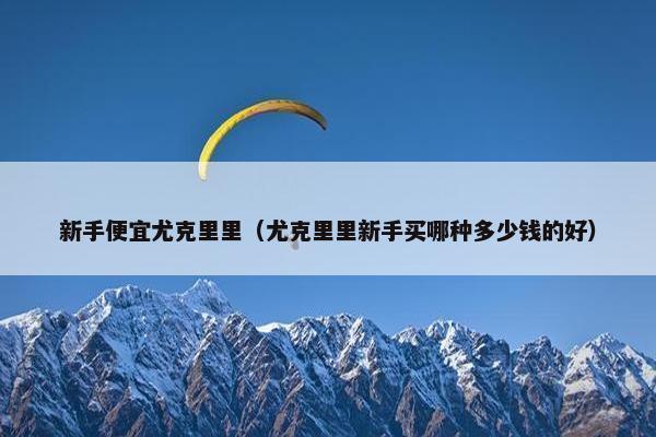 新手便宜尤克里里（尤克里里新手买哪种多少钱的好）