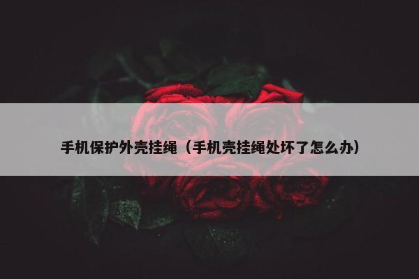手机保护外壳挂绳（手机壳挂绳处坏了怎么办）