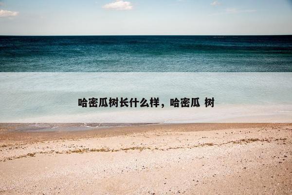 哈密瓜树长什么样，哈密瓜 树