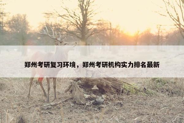 郑州考研复习环境，郑州考研机构实力排名最新