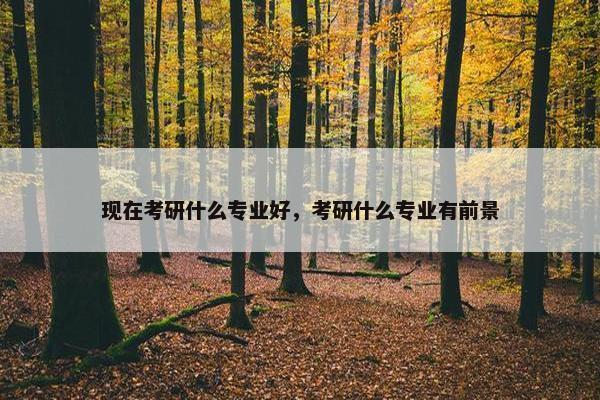 现在考研什么专业好，考研什么专业有前景
