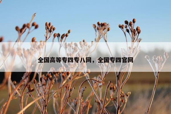 全国高等专四专八网，全国专四官网