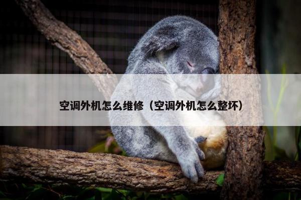 空调外机怎么维修（空调外机怎么整坏）