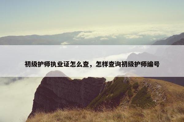 初级护师执业证怎么查，怎样查询初级护师编号